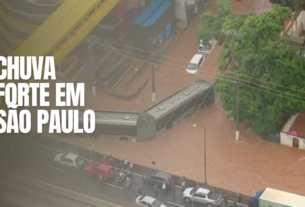 São Paulo amanheceu sob um céu cinzento e pesado, prenúncio do que viria a ser um dos dias mais desafiadores do verão na cidade. As chuvas...