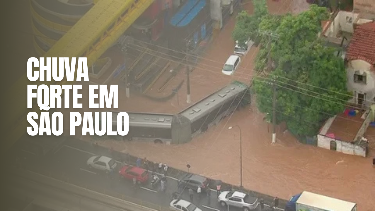 São Paulo amanheceu sob um céu cinzento e pesado, prenúncio do que viria a ser um dos dias mais desafiadores do verão na cidade. As chuvas...