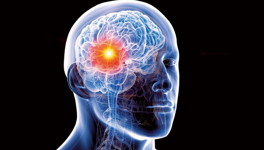 O mapeamento genético do cérebro humano é essencial para entender doenças neurológicas. Descubra como ele está transformando a medicina e a pesquisa. Clique aqui!